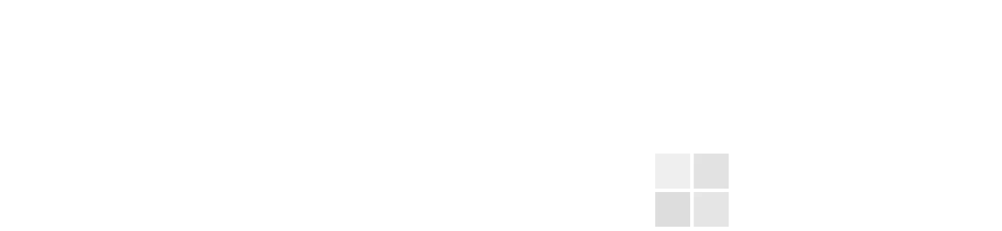 Microsoft Partner Logo